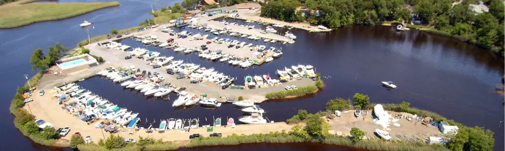 Here are the latest news updates from Marinalife on all things happening this spring season.